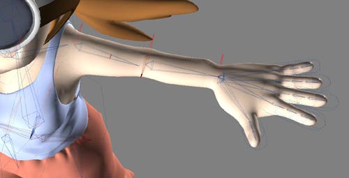 hotaru arm bone