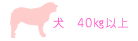 ���@40�@K���@�ȏ�