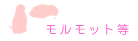 �������b�g��